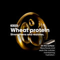 L’Oréal Professionnel Serie Expert Absolut Repair Gold Quinoa + Protein Mask 500 ml - Hårkur - Pure·Men